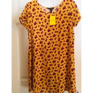 🍃✨spring is near✨🍃